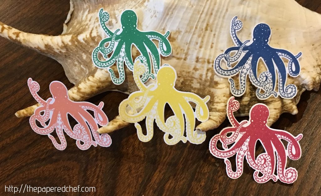 In Color Octopuses