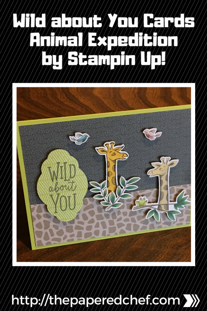 Wild about You Cards - Animal Expedition