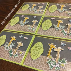 Wild About You Cards - Animal Expedition
