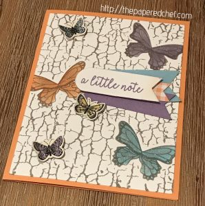 Butterfly Gala and Crackle Paint