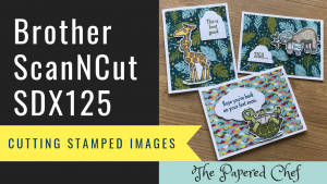 Back on your Feet - Stampin' Up!