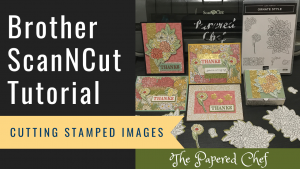 Brother ScanNCut - Cutting Stamped Images - Ornate Style