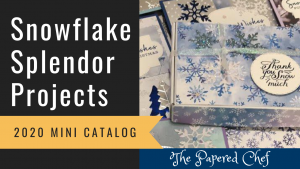 Snowflake Splendor Projects