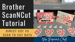 ScanNCut - Direct Cut vs Scan to Cut Data