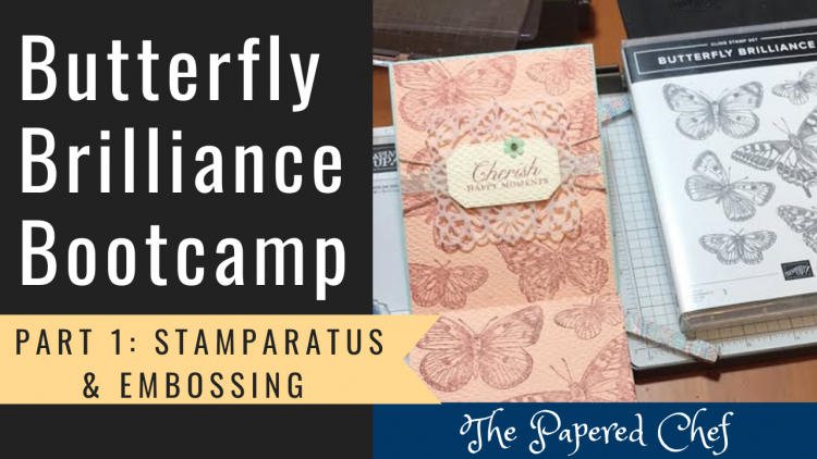 Butterfly Brilliance Bootcamp