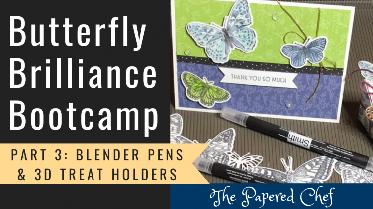 Butterfly Brilliance Bootcamp - Part 3