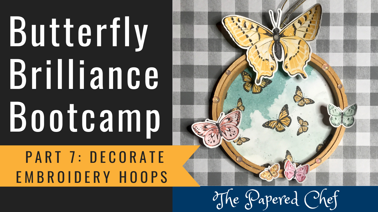 Butterfly Brilliance Bootcamp - Part 7
