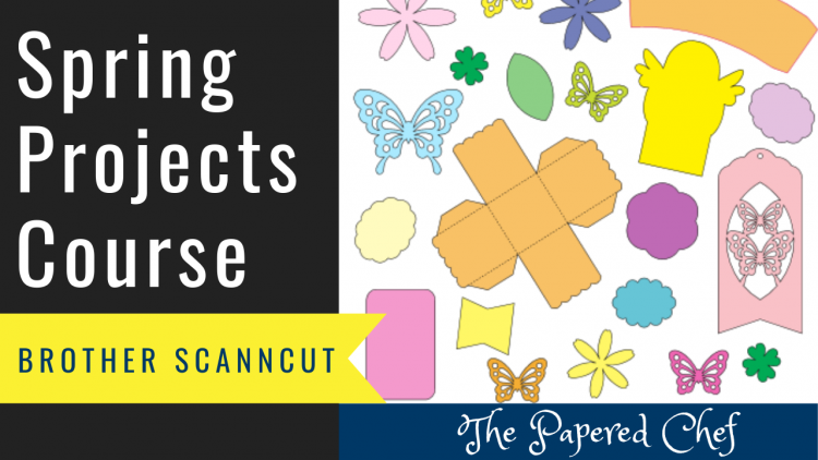 Canvas Workspace - Spring Projects Course